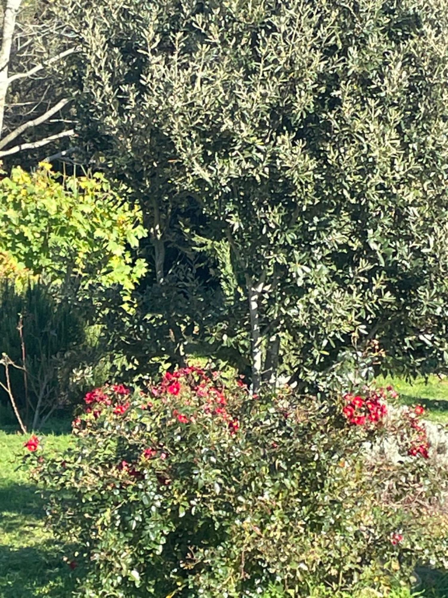 Villa Borie Grande Saint-Denis  Esterno foto